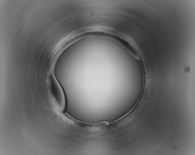 X0000111390946200907100957
