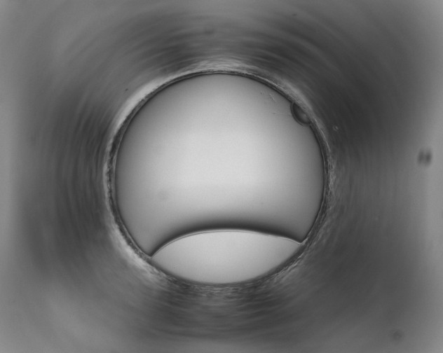 X0000111390947200907100957