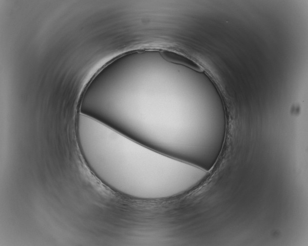 X0000111390948200907100957