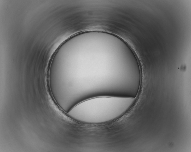 X0000111390949200907100957