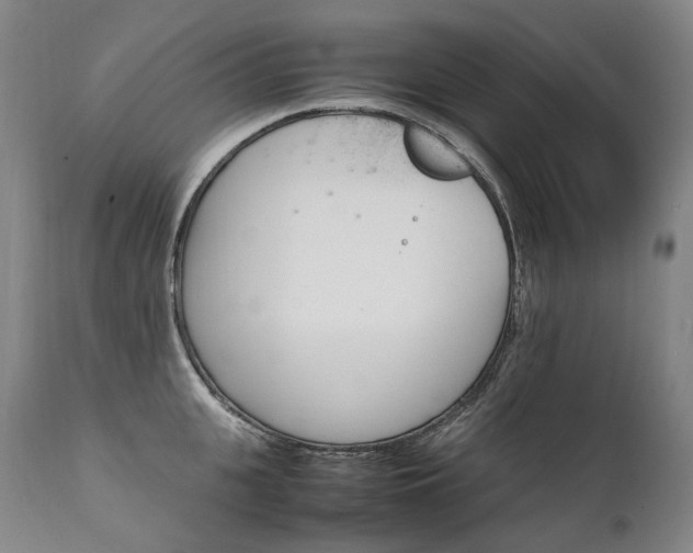 X0000111390951200907100957