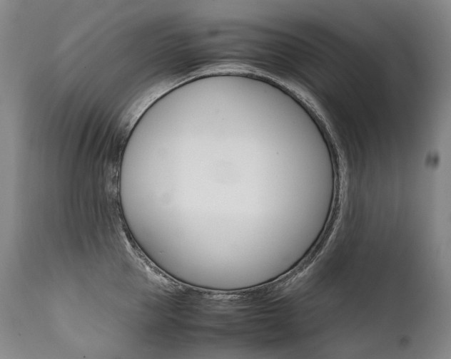 X0000111390953200907100957