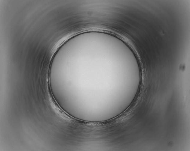 X0000111390954200907100957
