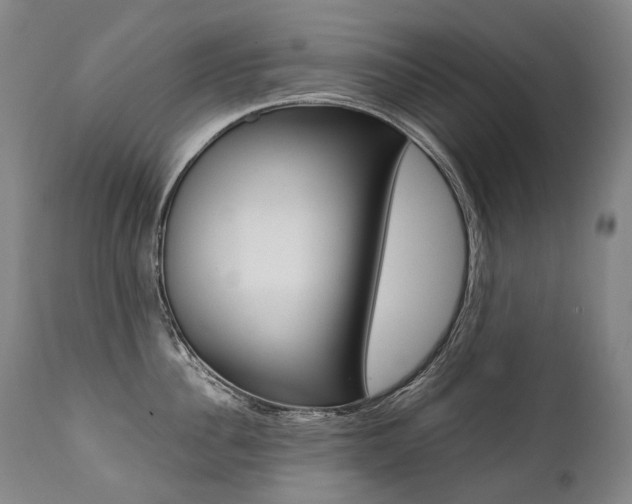 X0000111390956200907100958