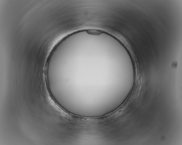 X0000111390958200907100958