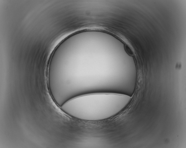 X0000111390959200907100958