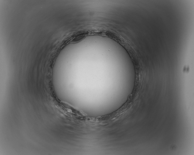 X0000111390961200907100957