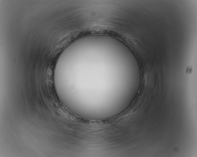 X0000111390964200907100957