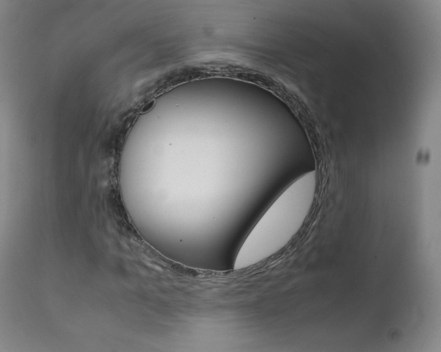 X0000111390965200907100957
