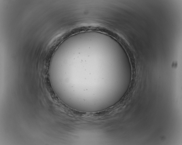 X0000111390967200907100957