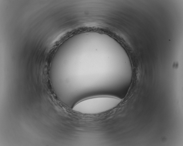 X0000111390968200907100957