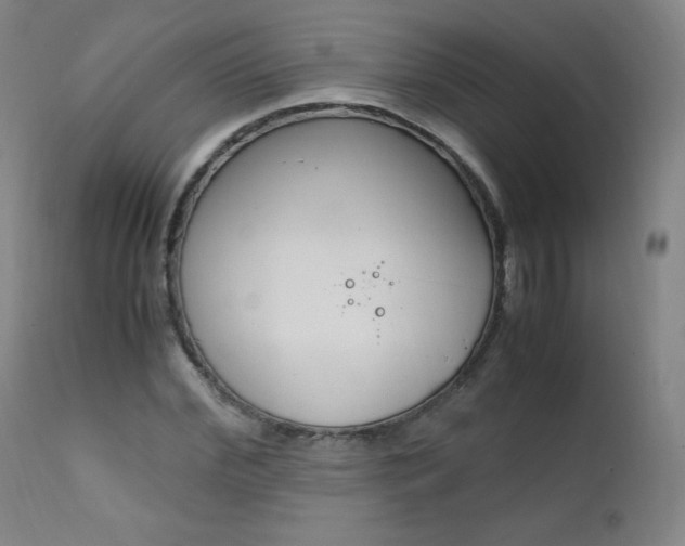 X0000111390972200907100957