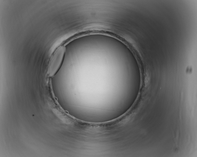 X0000111390973200907100957