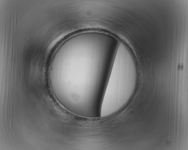 X0000111390975200907100957