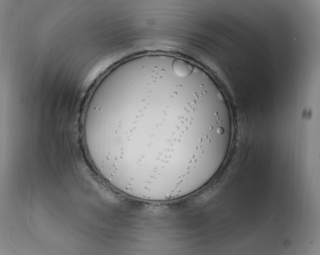 X0000111390978200907100957
