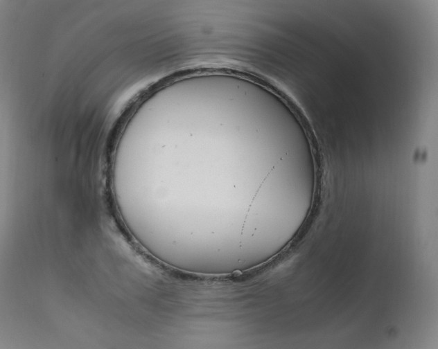 X0000111390979200907100957