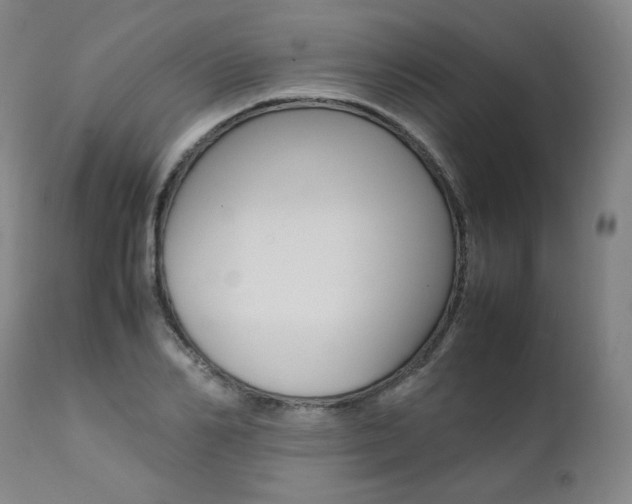 X0000111390982200907100957