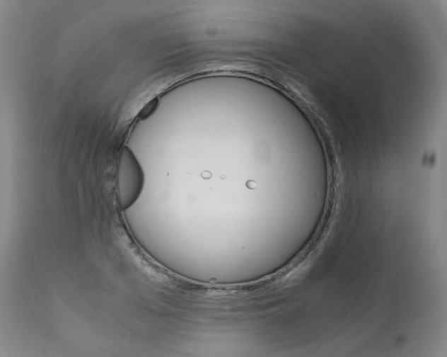 X0000111390985200907100956