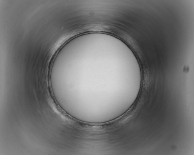 X0000111390986200907100956