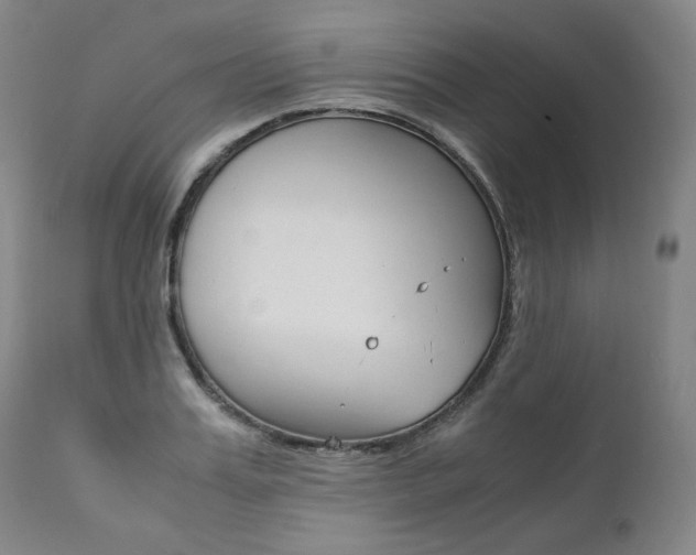 X0000111390987200907100956
