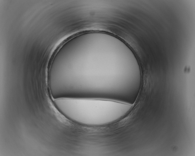 X0000111390988200907100956