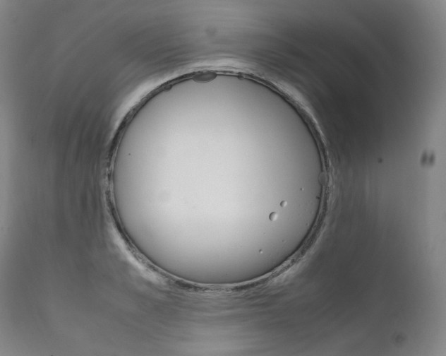 X0000111390989200907100956