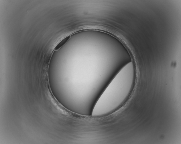 X0000111390993200907100956