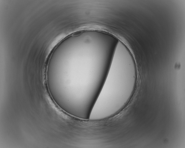 X0000111390997200907100956
