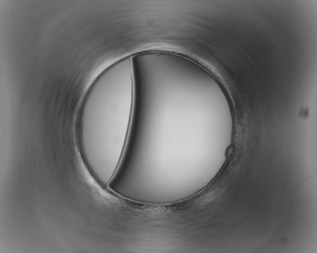 X0000111390999200907100956