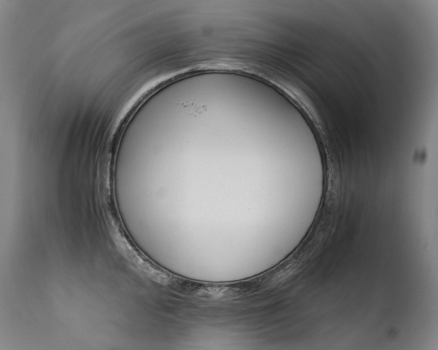 X0000111391000200907100956