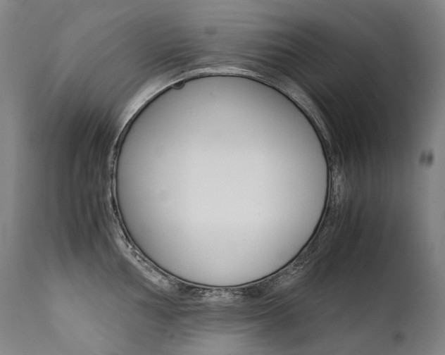 X0000111391002200907100956