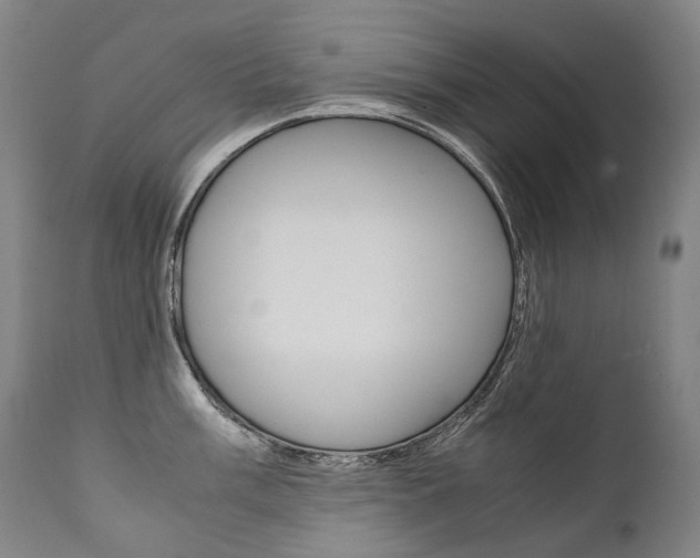 X0000111391003200907100956