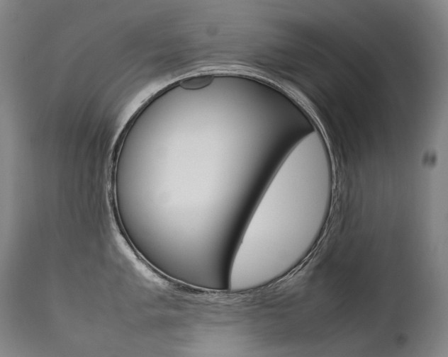 X0000111391005200907100956