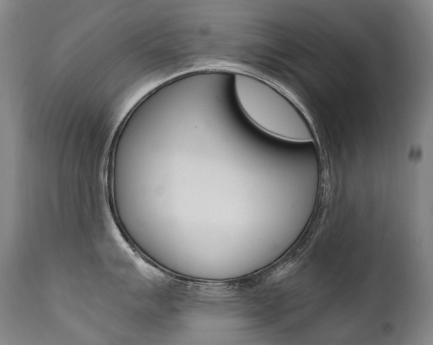 X0000111391007200907100956