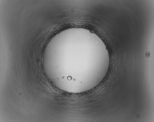 X0000111391009200907100955