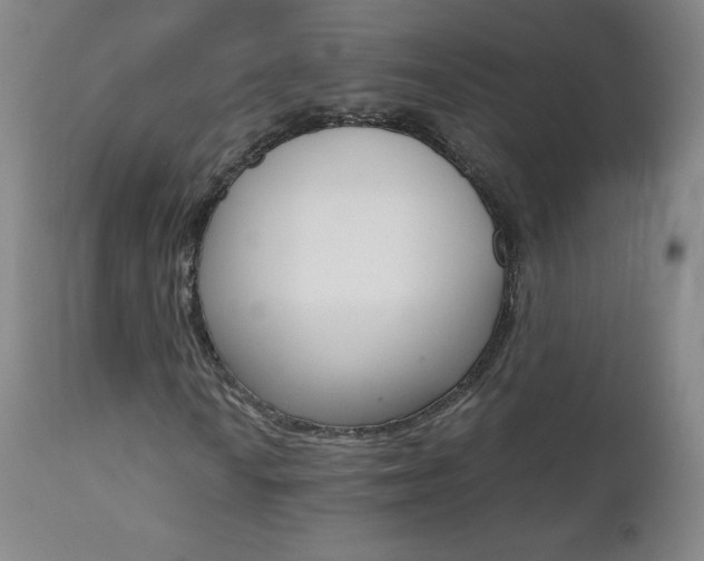 X0000111391010200907100955