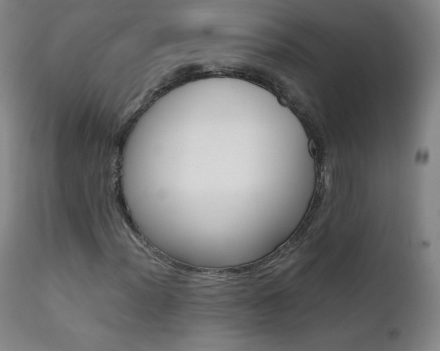 X0000111391012200907100955