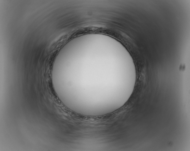 X0000111391014200907100955