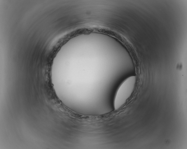 X0000111391016200907100955