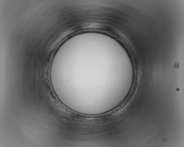 X0000111391017200907100955