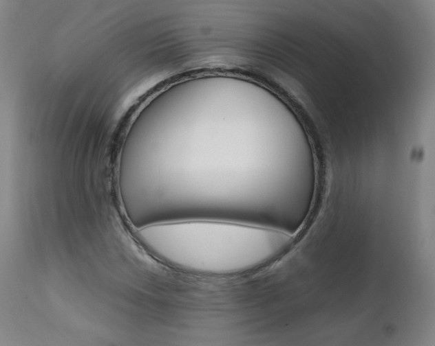 X0000111391018200907100955