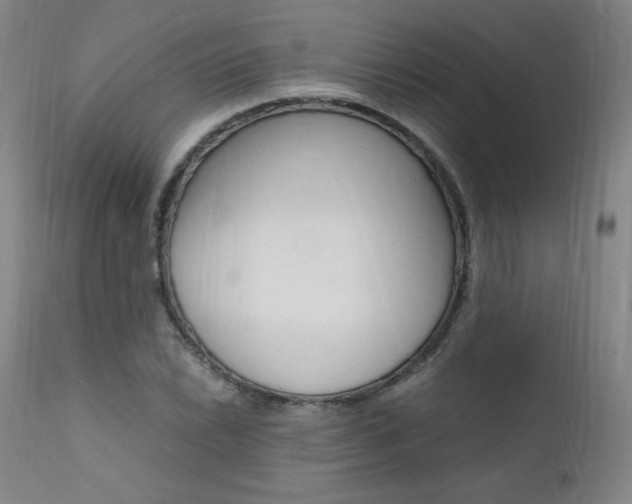 X0000111391022200907100956