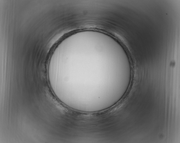 X0000111391023200907100956