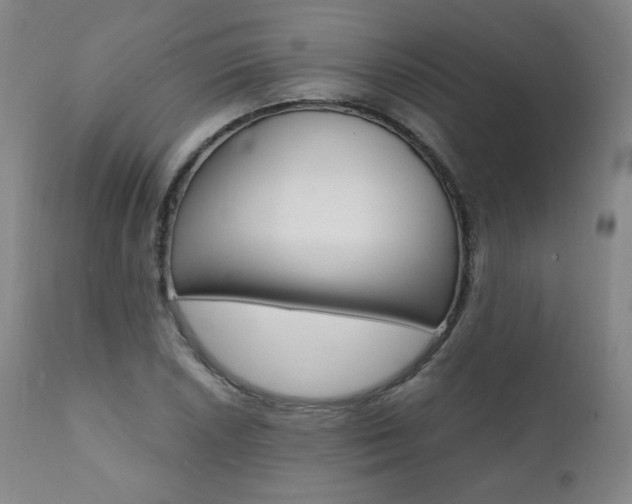 X0000111391026200907100956