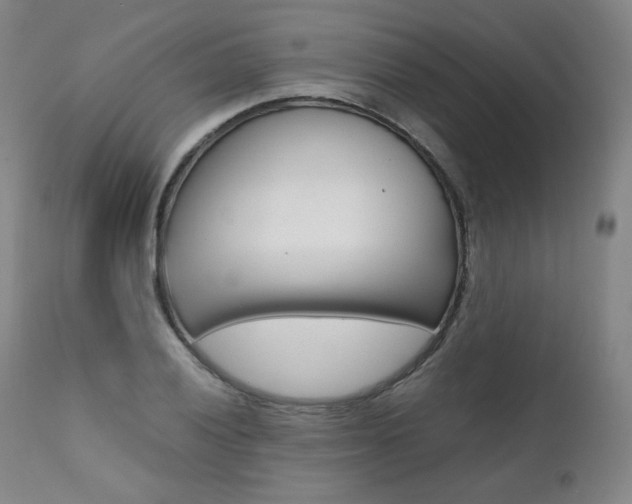 X0000111391028200907100956