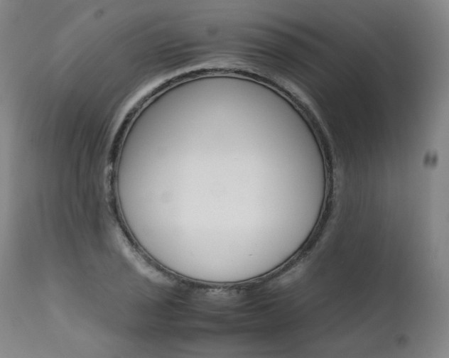 X0000111391029200907100956