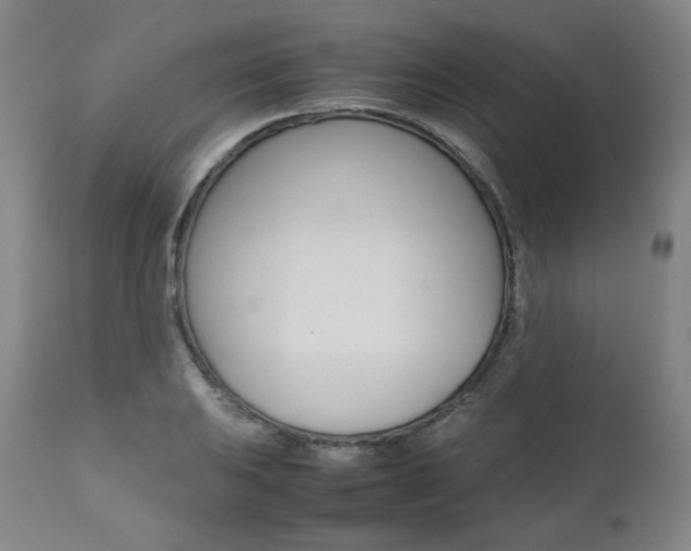 X0000111391031200907100956