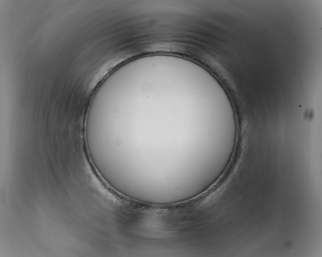 X0000111391033200907100956