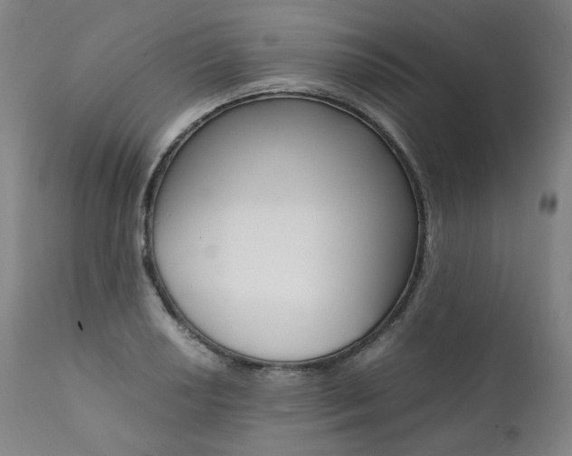 X0000111391034200907100956
