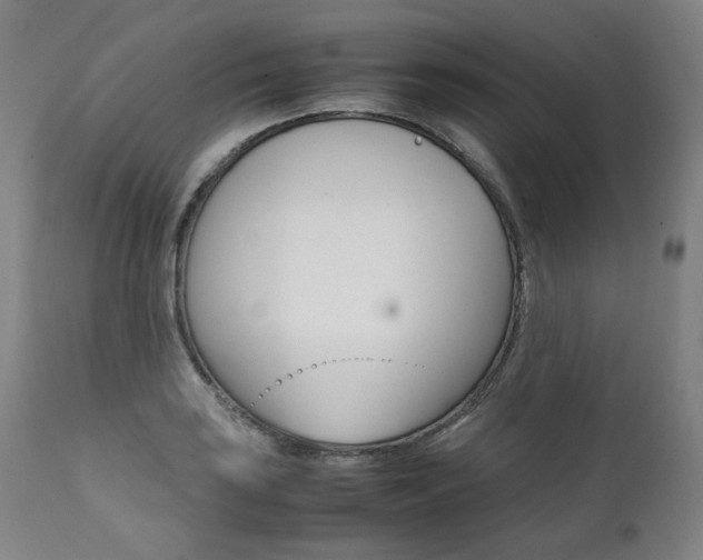 X0000111391035200907100956